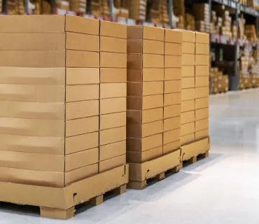 About Us Consultation