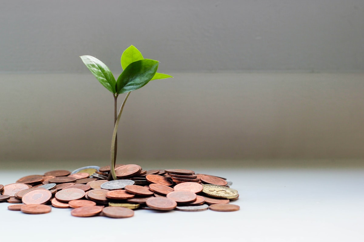WMS pricing guide — the five cost lines of a mid-market 3PL WMS deployment